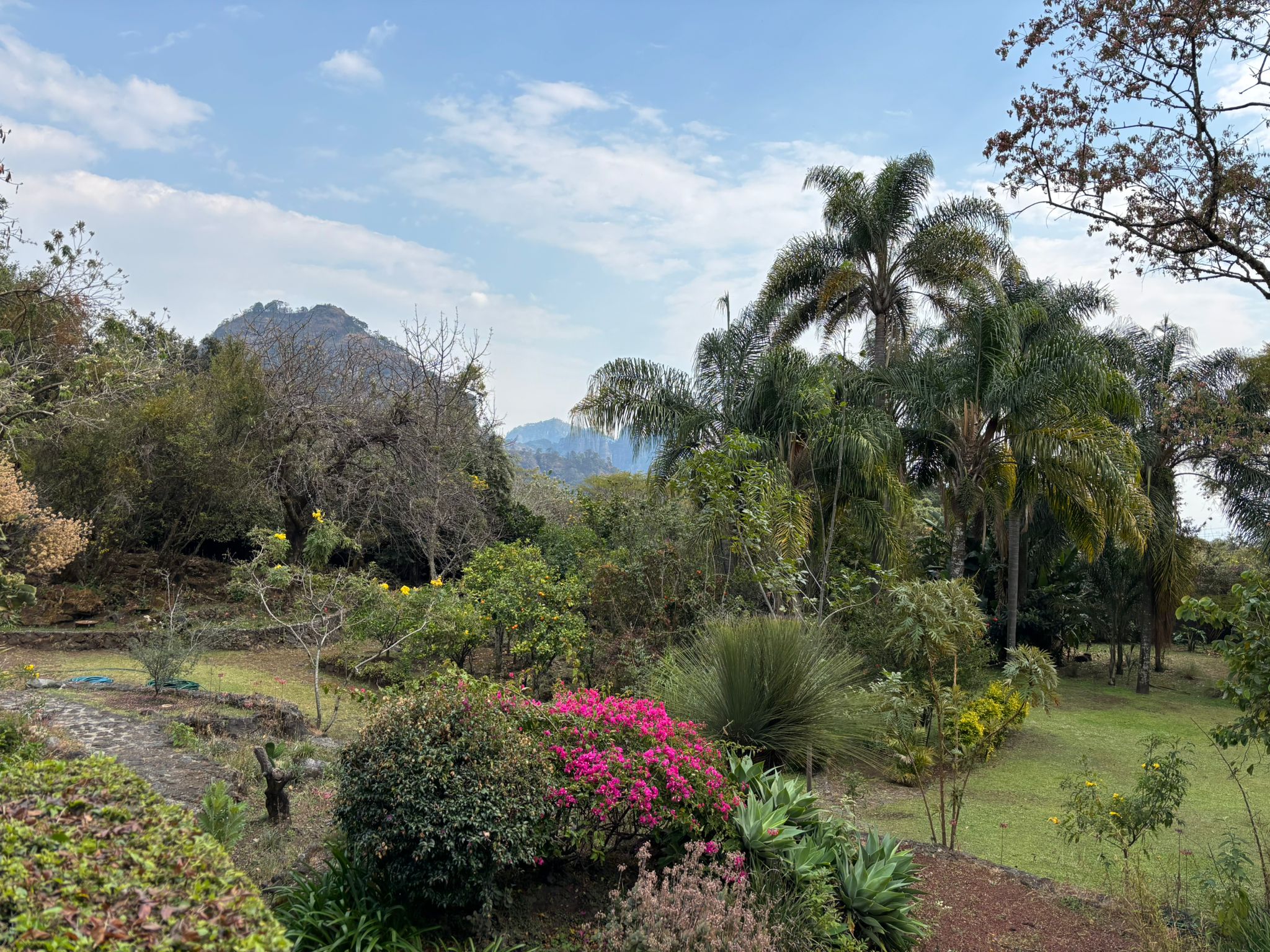 THE GARDEN SESSIONS: TEPOZTLÁN 2025