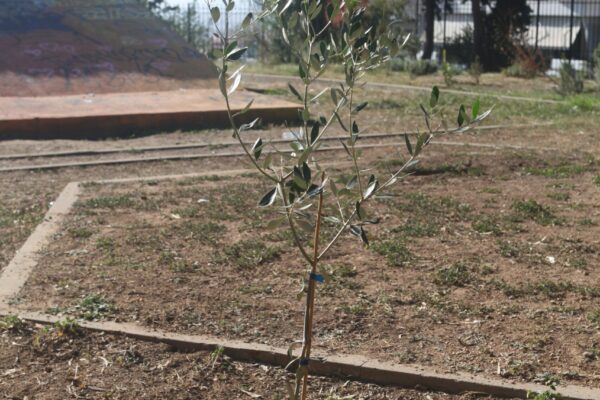 2023 - Photo by Fredrik Elg