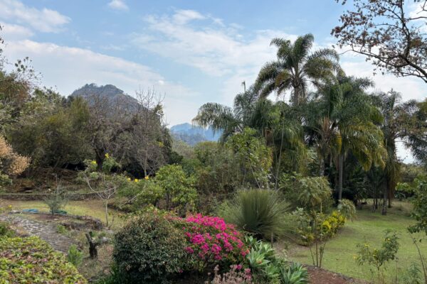 8 - Photo by Fredrik Elg